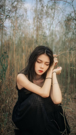 69免费观看精选内容